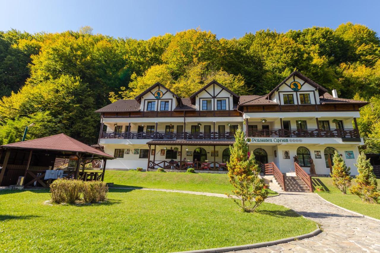 Pensiunea Ciprian Curtea De Arges Exterior photo
